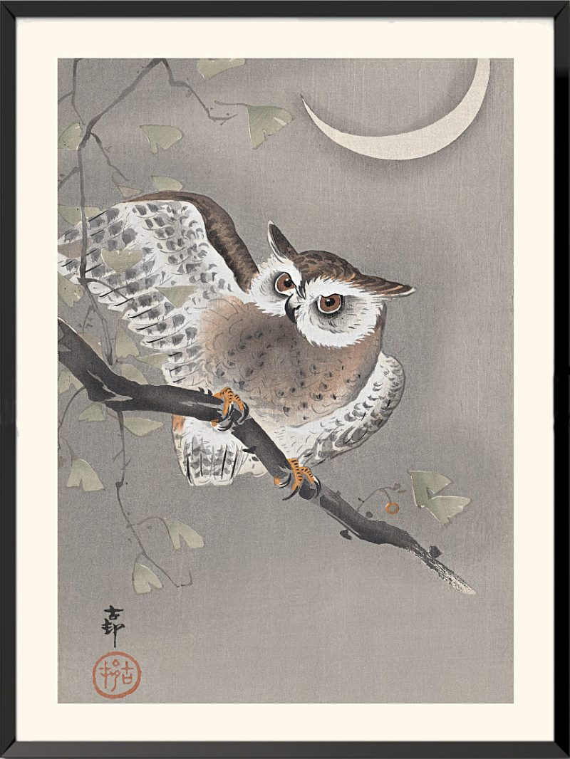 Estampe Petit duc à collier de Ohara Koson