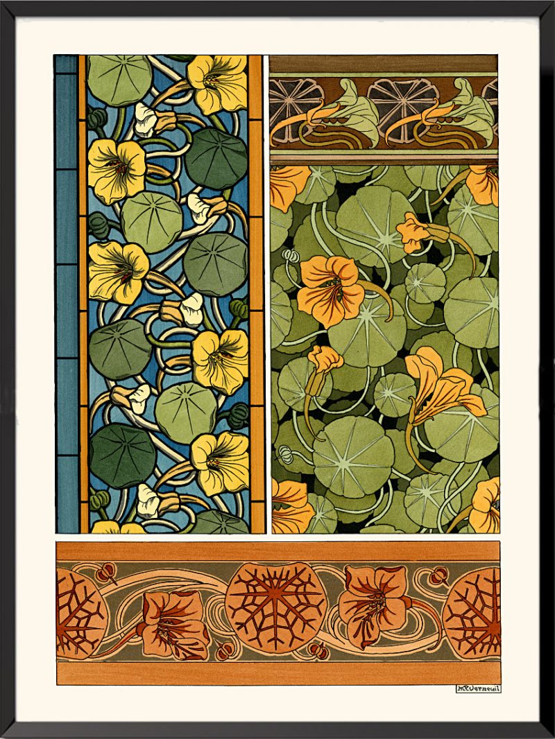 Illustration La plante et ses applications ornementales, 1896, Capucines de Maurice Pillard-Verneuil