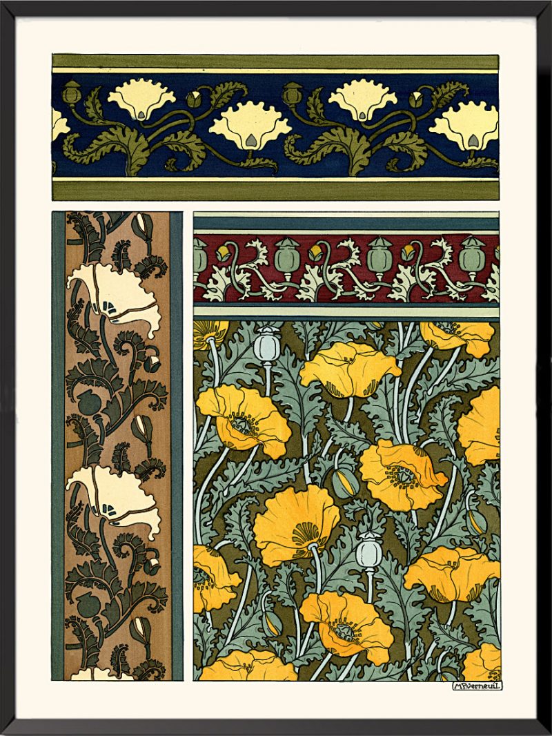 Illustration La plante et ses applications ornementales, 1896, Coquelicots de Maurice Pillard-Verneuil