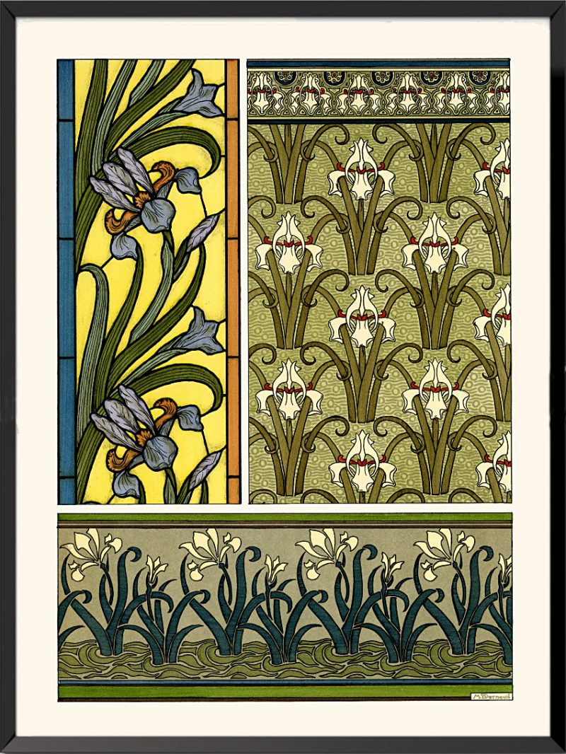 Illustration La plante et ses applications ornementales, 1896, Iris de Maurice Pillard-Verneuil