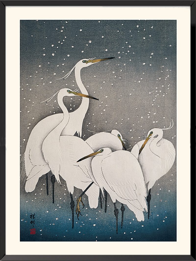 Print Little egrets by Ohara Koson