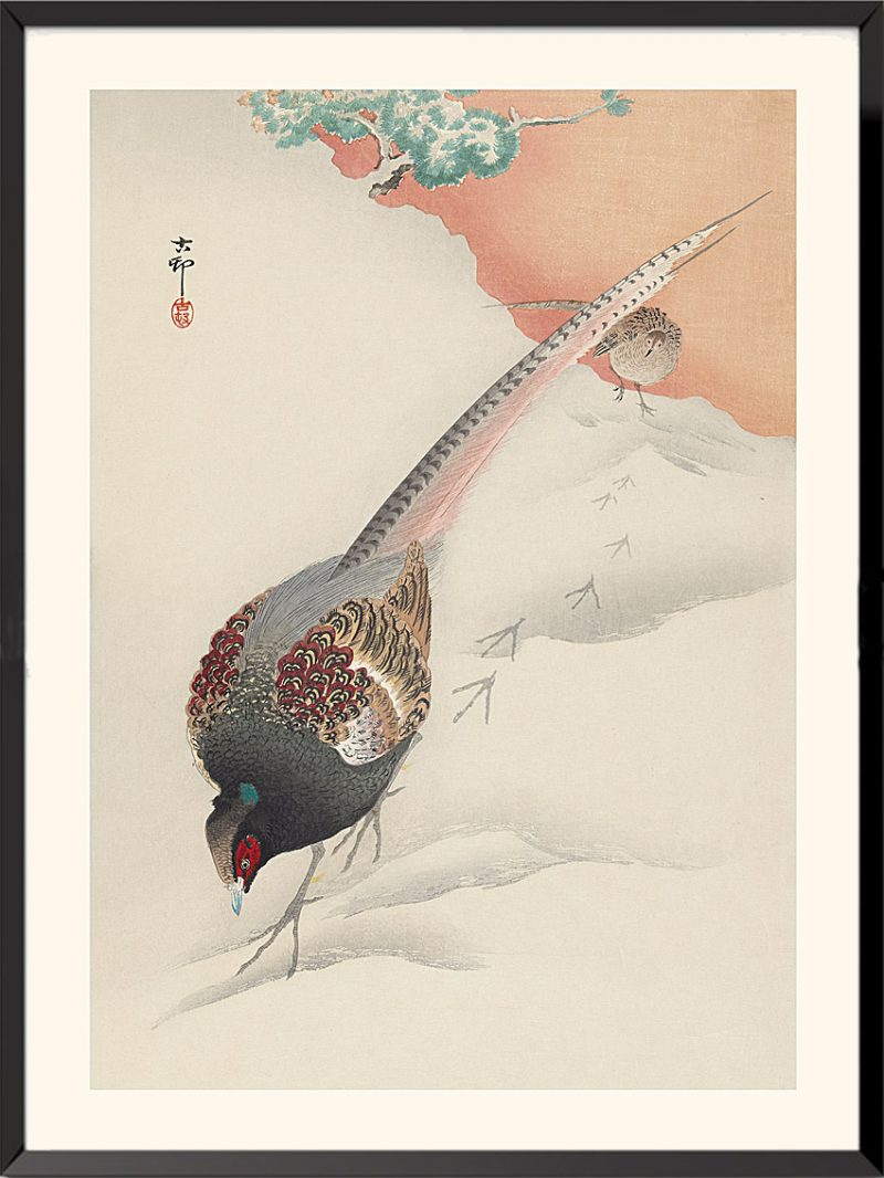 Versicolored pheasant print by Ohara Koson