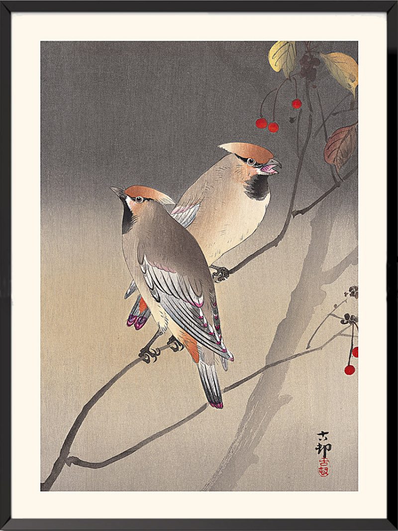 Japan waxwing prints by Ohara Koson