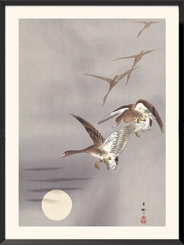 White-fronted geese print by Ohara Koson