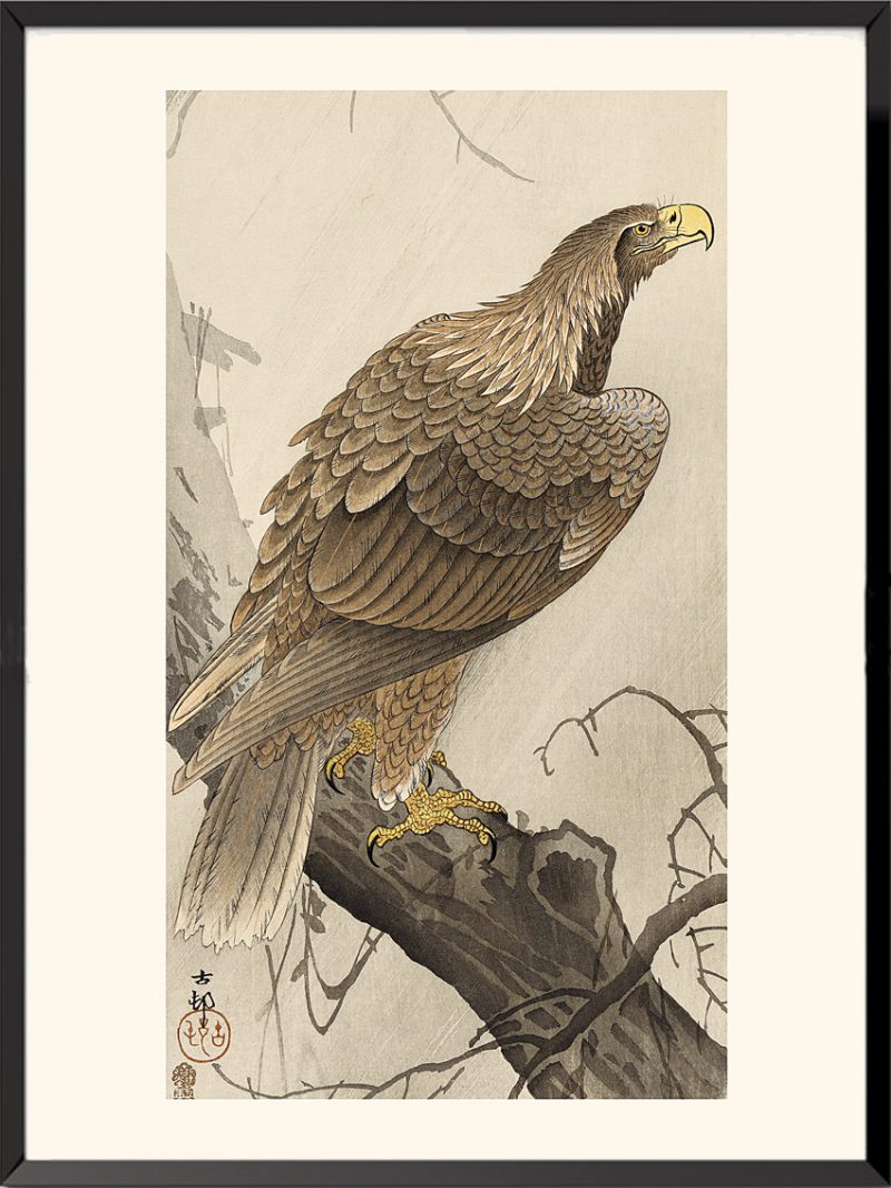 Estampe White-tailed Eagle by Ohara Koson