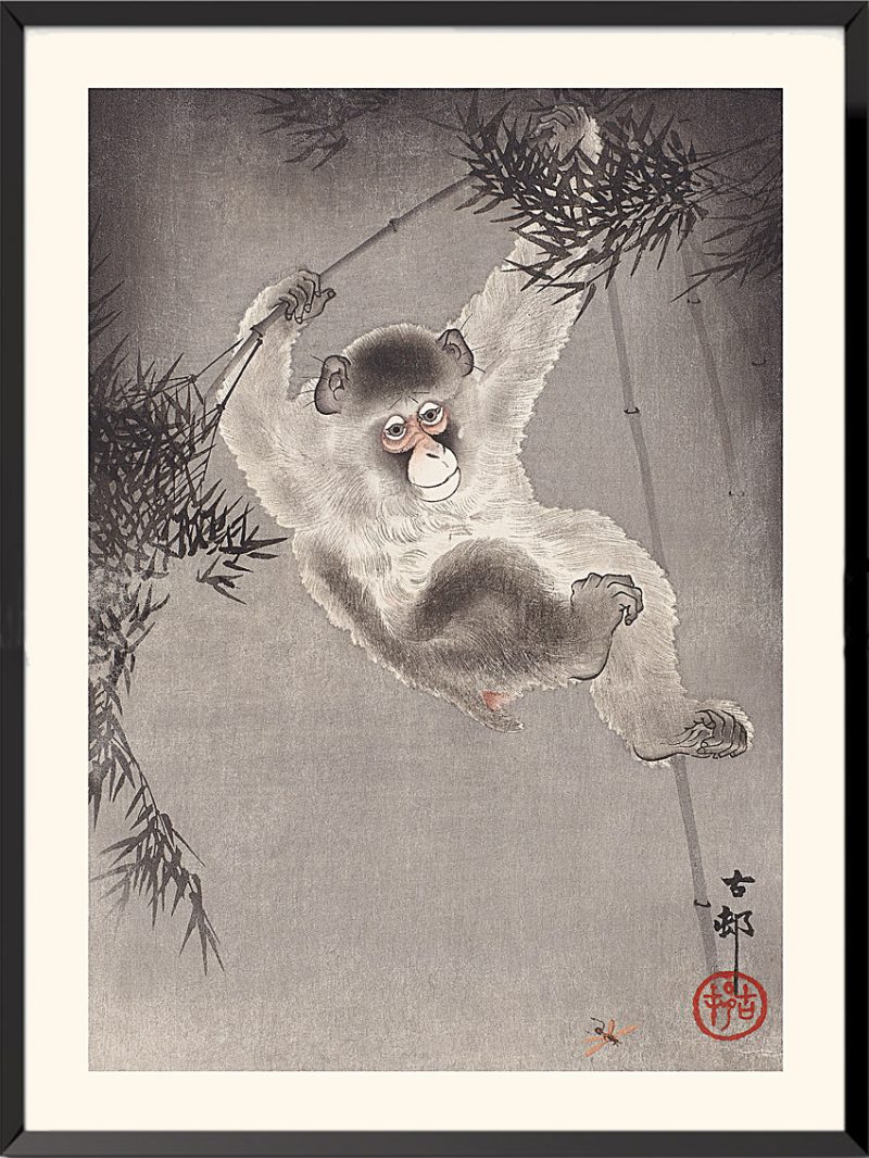 Monkey (1) print by Ohara Koson