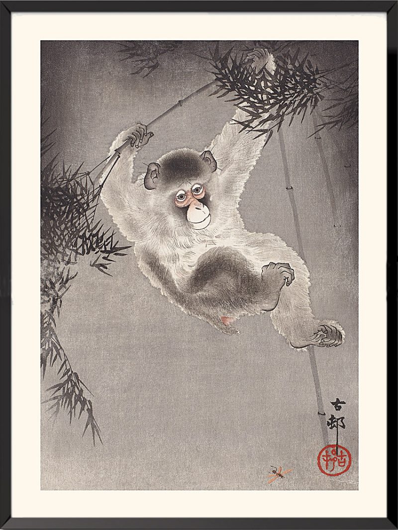 Estampe Singe (1) de Ohara Koson