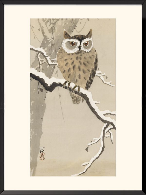 Illustration Petit duc à collier. Ohara Koson