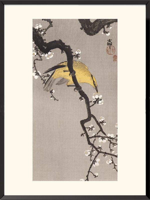 Illustration Loriot jaune Ohara Koson