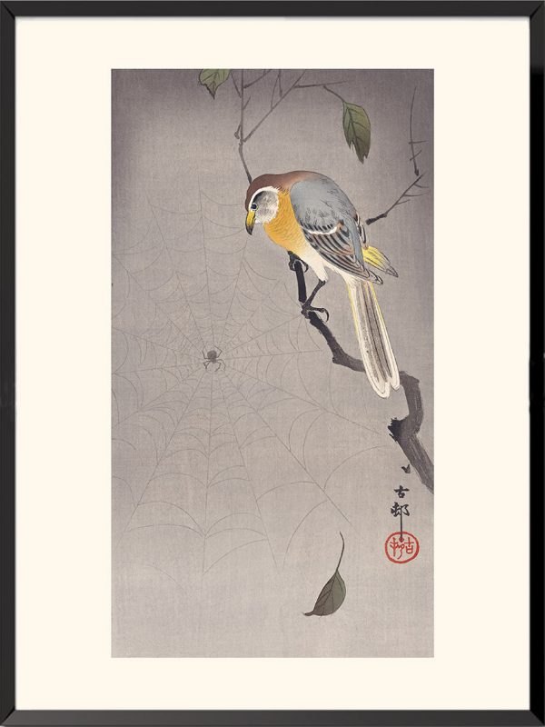 Illustration Pie-grièche bucéphale Ohara Koson