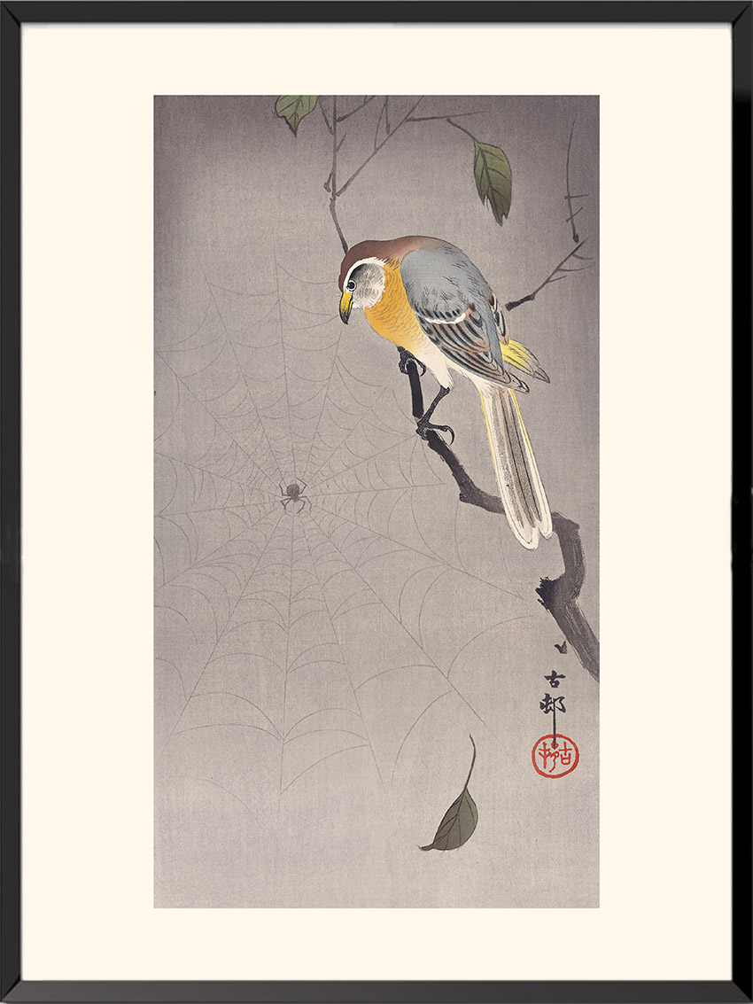 Illustration Pie-grièche bucéphale Ohara Koson