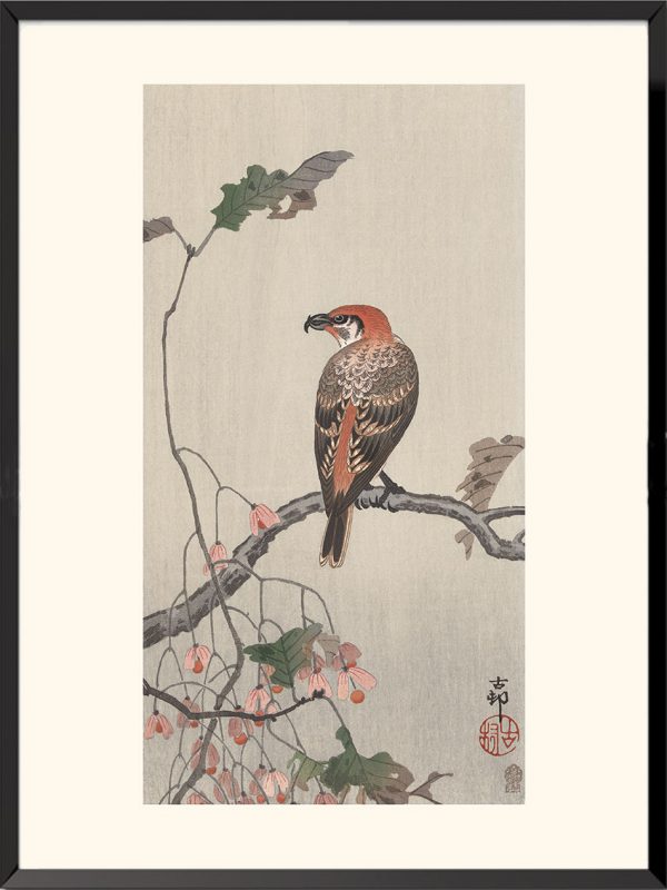 Bec-croisé, Ohara Koson — KOS32