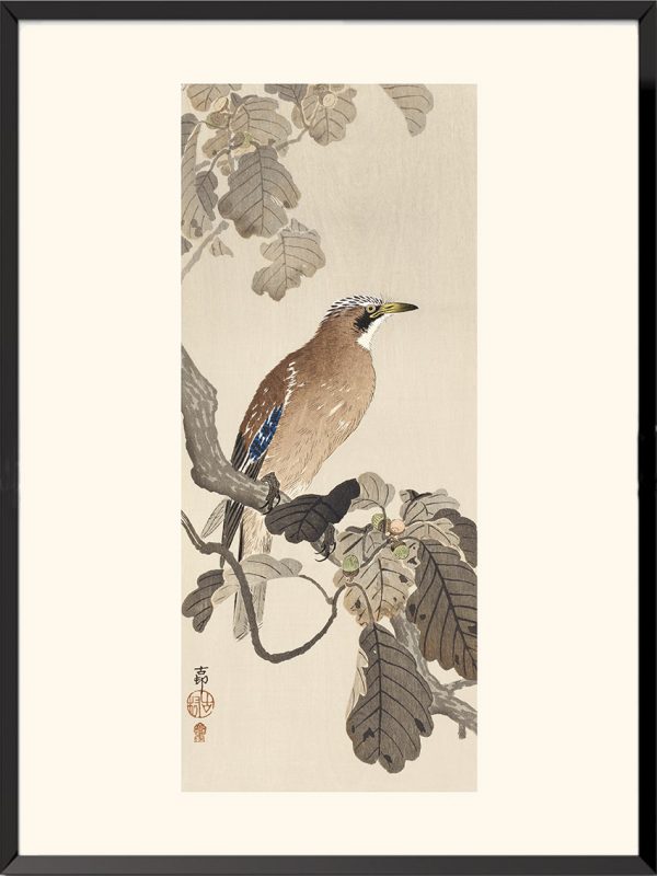 Geai des chênes, Ohara Koson — KOS31