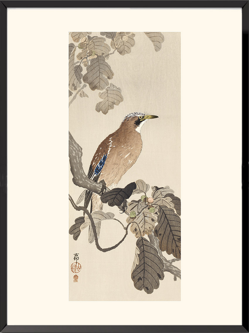 Geai des chênes, Ohara Koson — KOS31