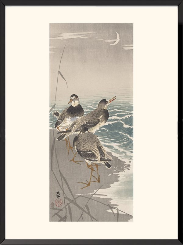 Chevaliers gambettes, Ohara Koson — KOS35