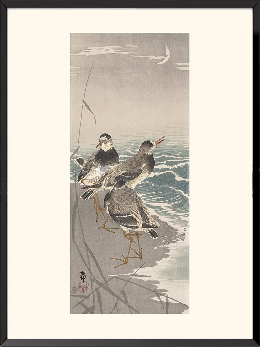 Chevaliers gambettes, Ohara Koson — KOS35