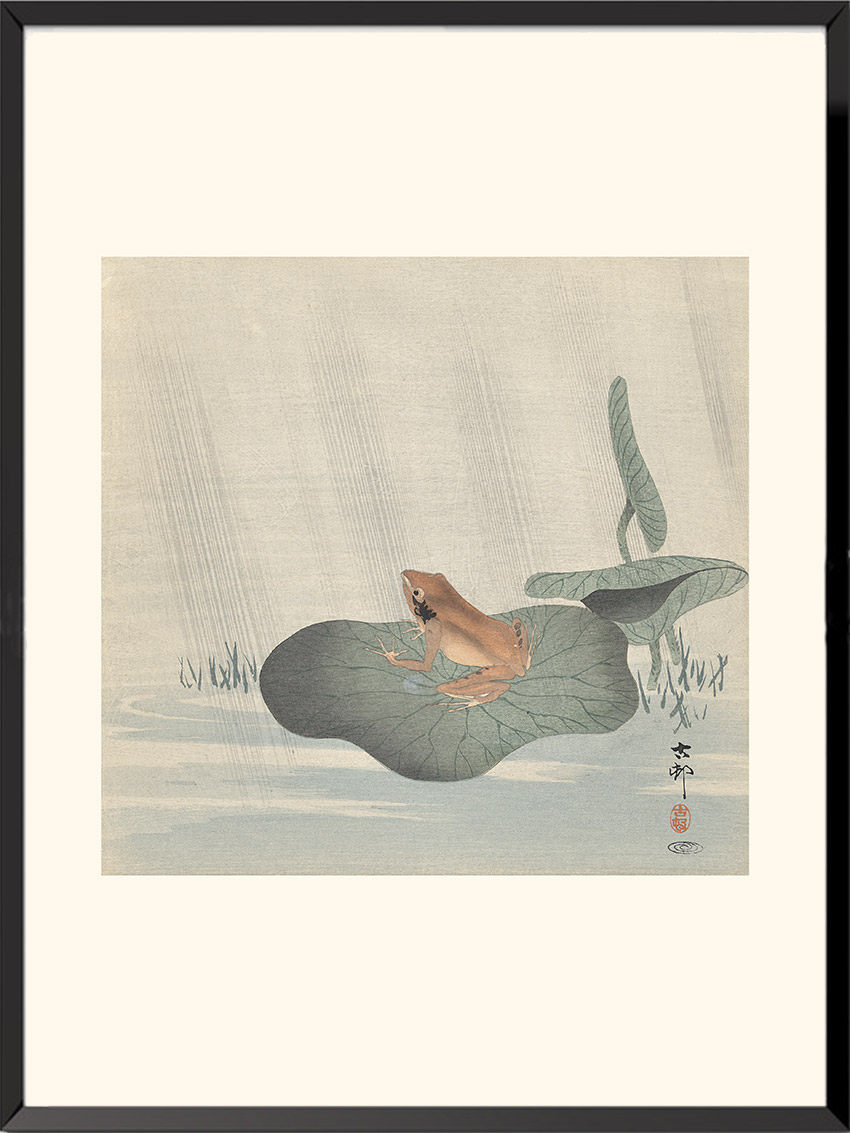 Grenouille sur une feuille de lotus, Ohara Koson — KOS39