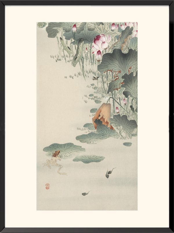 Grenouille, Ohara Koson — KOS37
